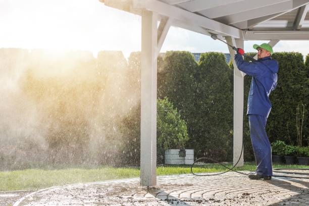 Animal Enclosure Cleaning in Pomona Park, FL
